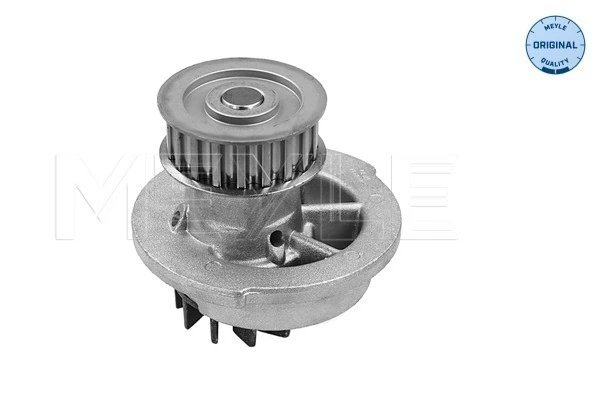 Насос водяной на Chevrolet Aveo II T250, T255