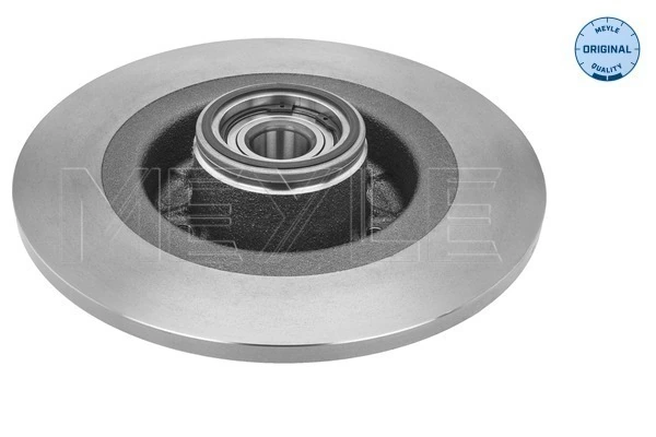 Disco do freio traseiro para Renault Laguna III BT0, BT1