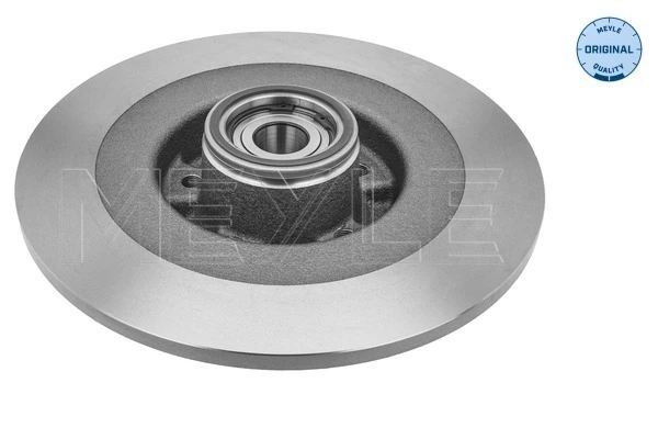  Disco do freio traseiro Renault Espace IV monovolume (JK0) (2002 - 2026) IV