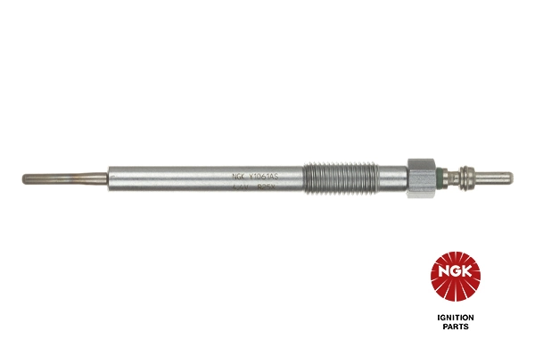 Свечи накала RG2191 Goodrem