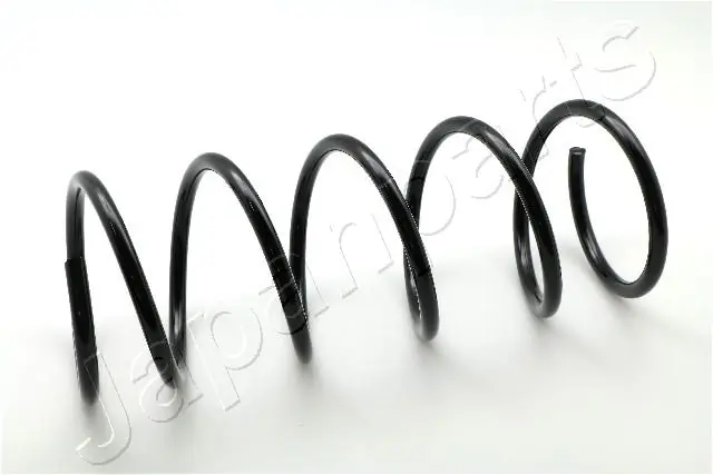 Mola dianteira Ford Escort AVL