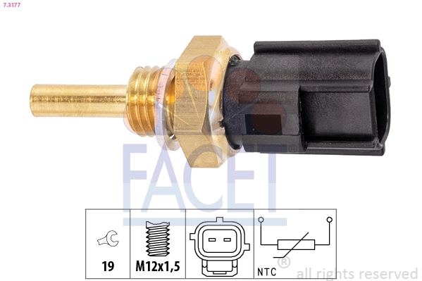 73177 Facet