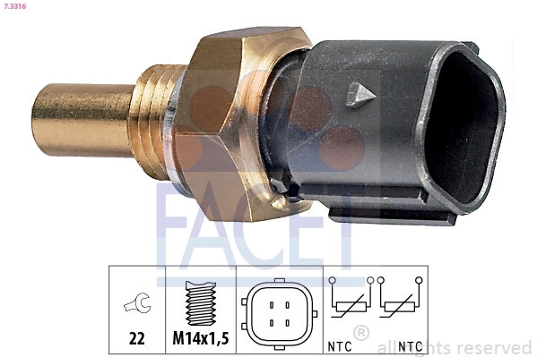 73316 Facet