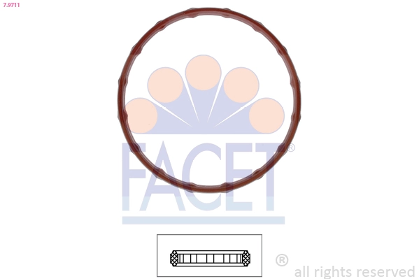 79711 Facet