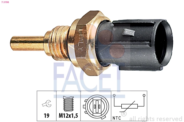 73198 Facet
