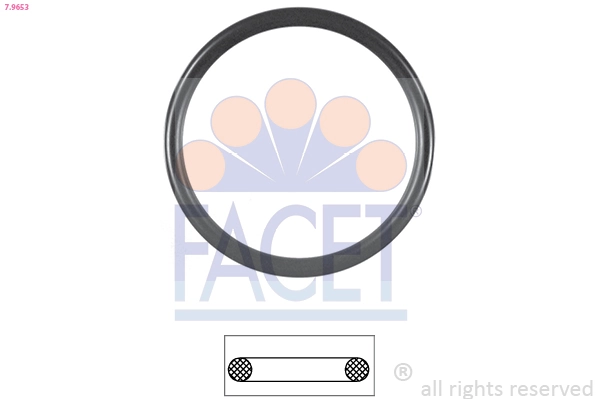 79653 Facet