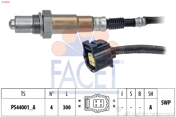 108202 Facet