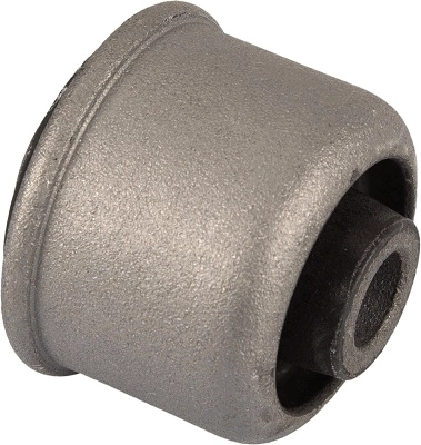 Bloco silencioso dianteiro do braço oscilante inferior Renault 19 2 B53, C53