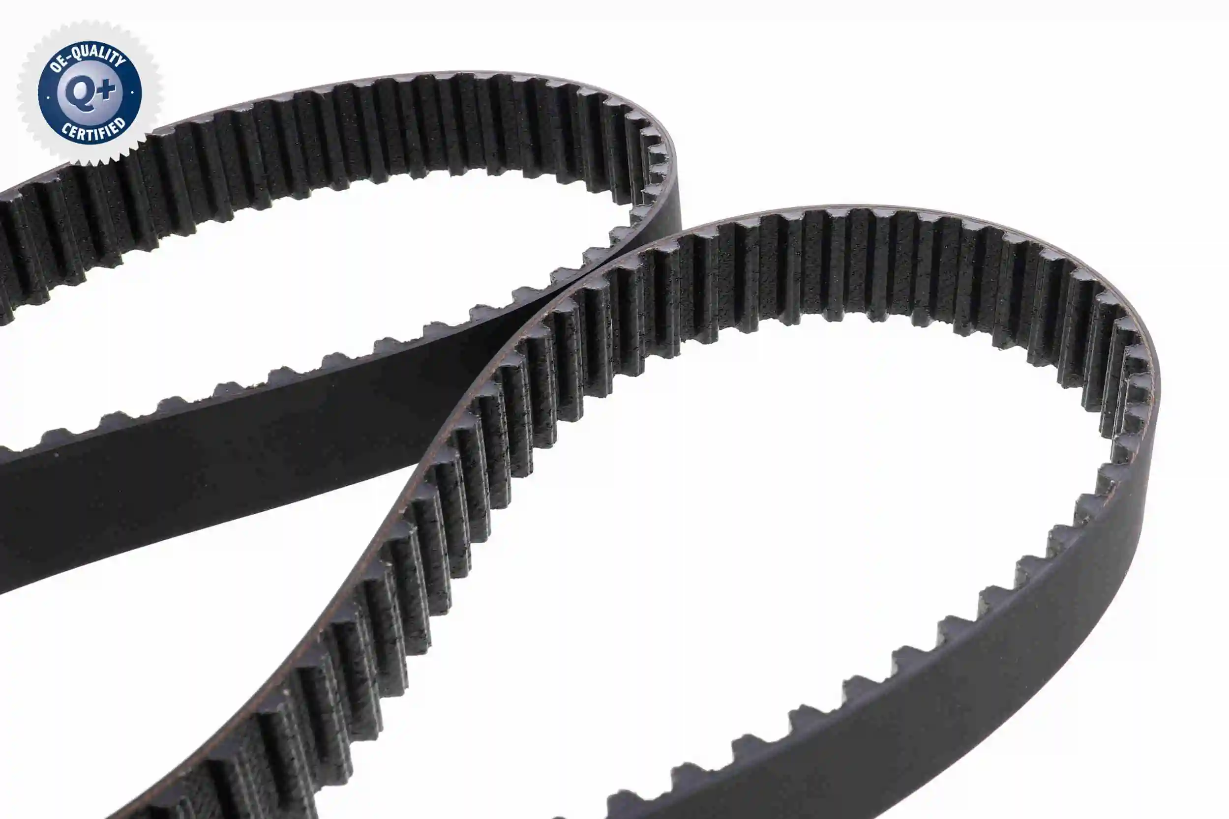 Compre Correia do mecanismo de distribuição de gás Fiat Scudo 