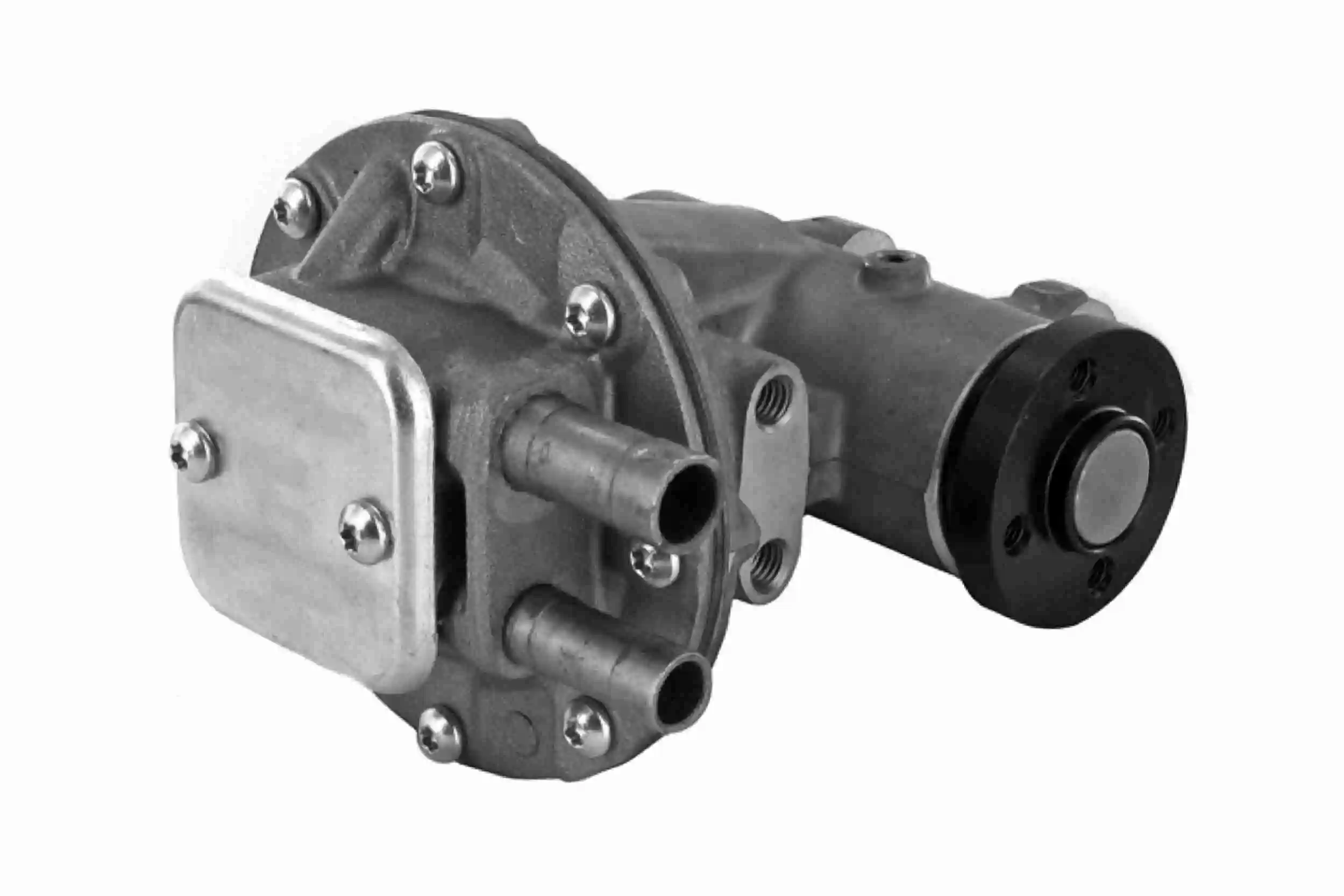 Bomba a vácuo Citroen ZX N2