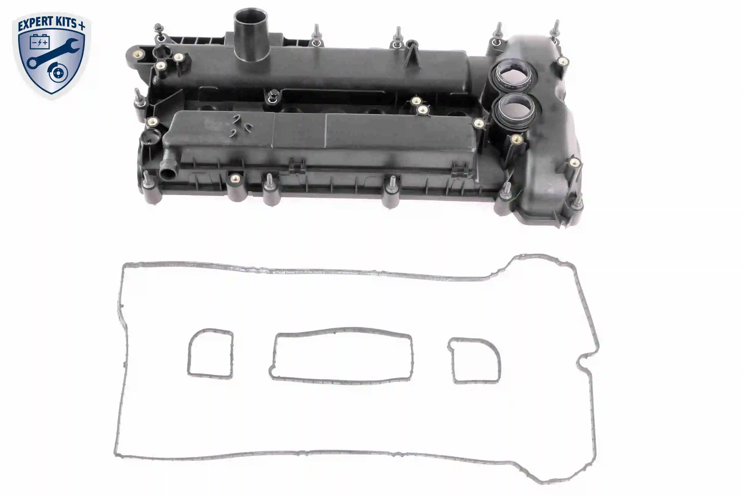 Клапанная крышка DRM6915 Polcar
