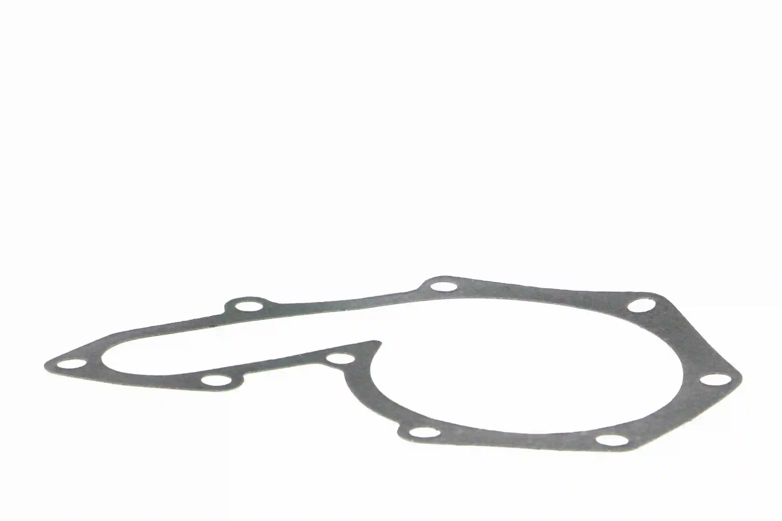 Bomba de água (bomba) de esfriamento Renault 21 S48