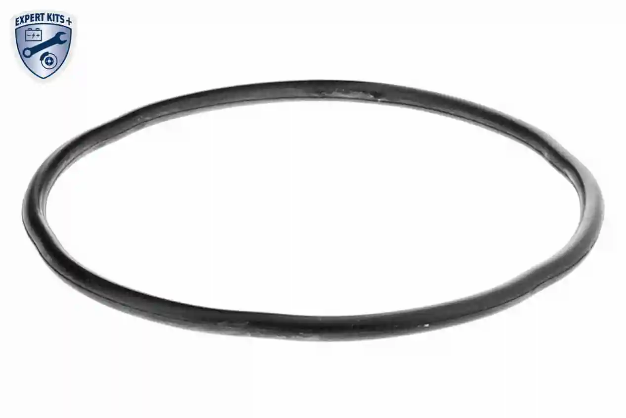 Caixa de filtro de combustível para Fiat Scudo COMBINATO 220P