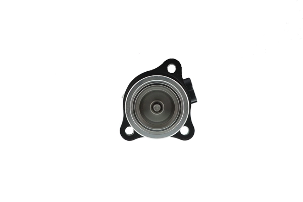 Купить EGRAZ7004 Aisin Клапан EGR системы рециркуляции отработавших газов