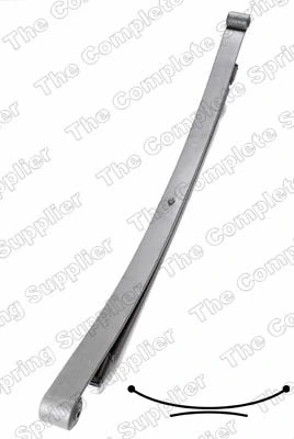 Рессоры задние (пружины задней подвески) Raiso SP332606 цена, от 63.02 USD