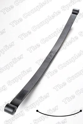 Рессоры задние (пружины задней подвески) Raiso SP419510 цена, от 57.72 USD