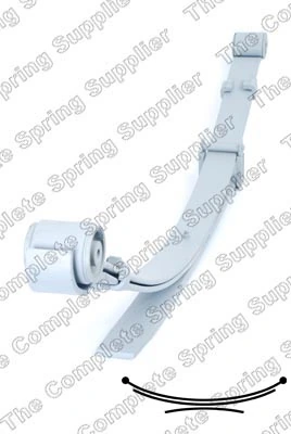Рессоры задние (пружины задней подвески) Raiso SP410755 цена, от 283.09 USD
