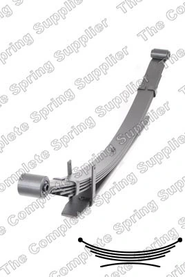 Рессоры задние (пружины задней подвески) Raiso SP468160 цена, от 180.61 USD