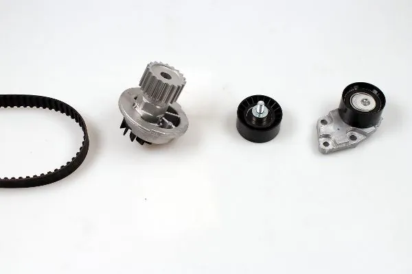 PK07950 Hepu