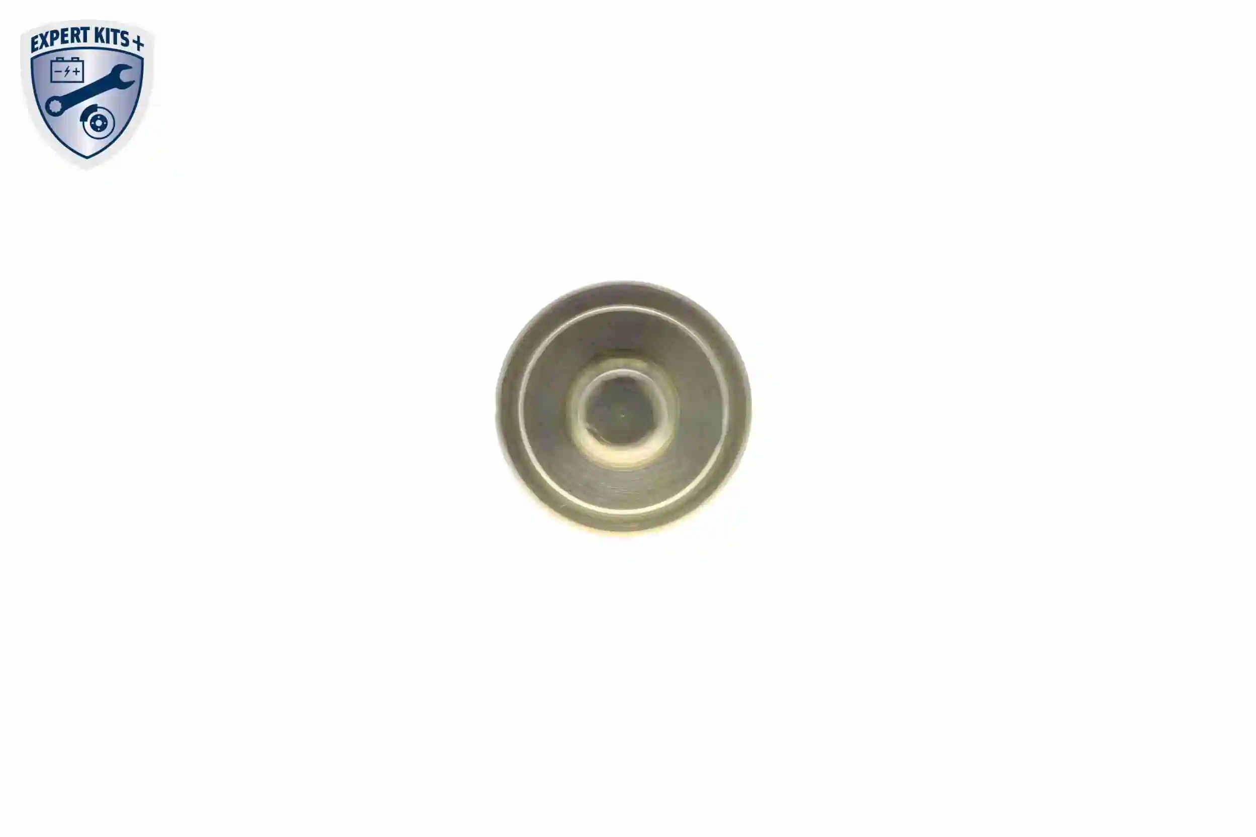 Sensor de temperatura do fluido de esfriamento Seat Exeo 3R5