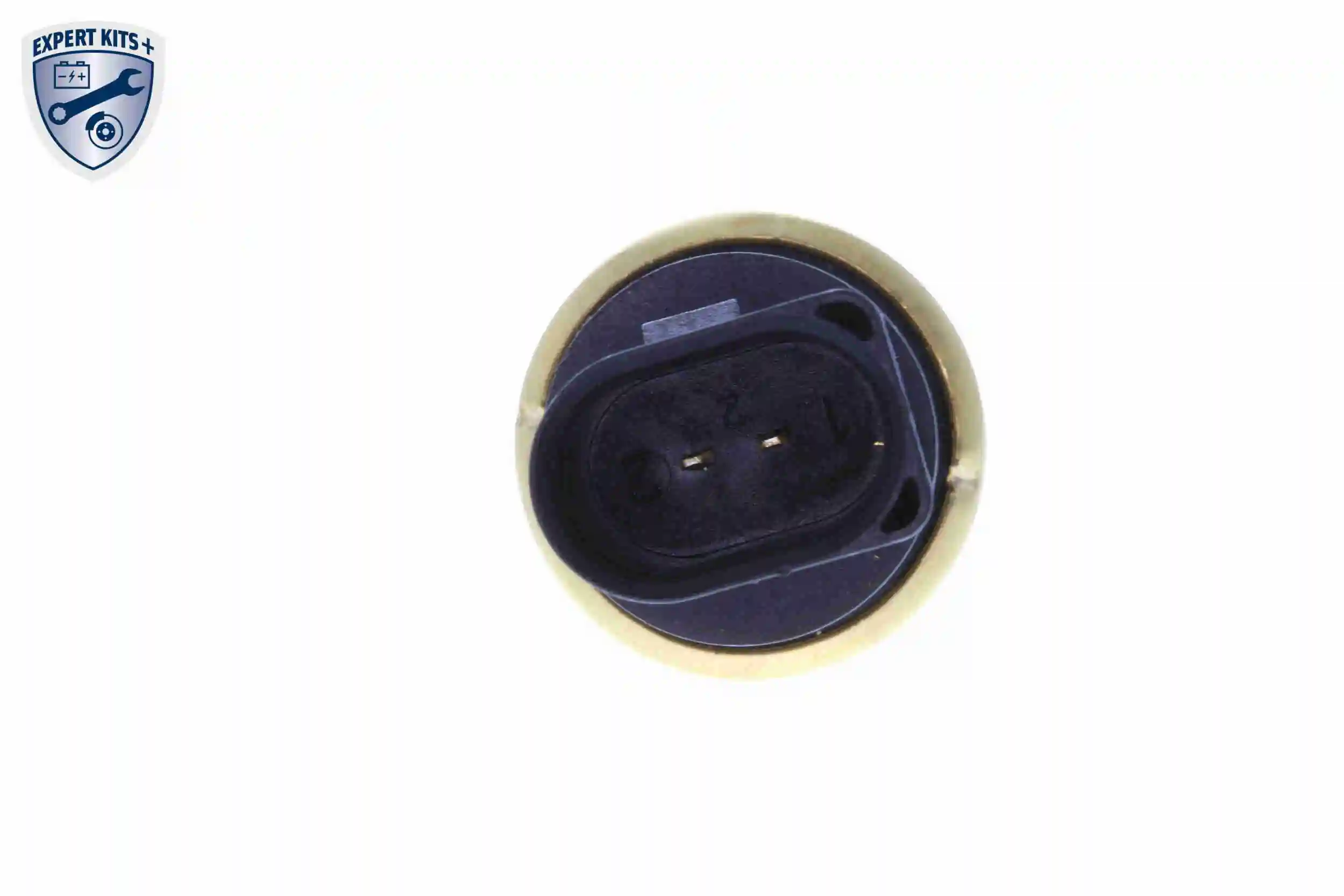 Sensor de temperatura do fluido de esfriamento Seat Exeo 3R5