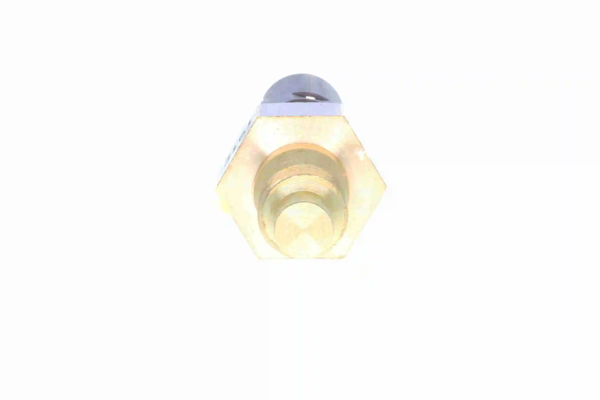 Sensor de temperatura do fluido de esfriamento Renault 21 S48