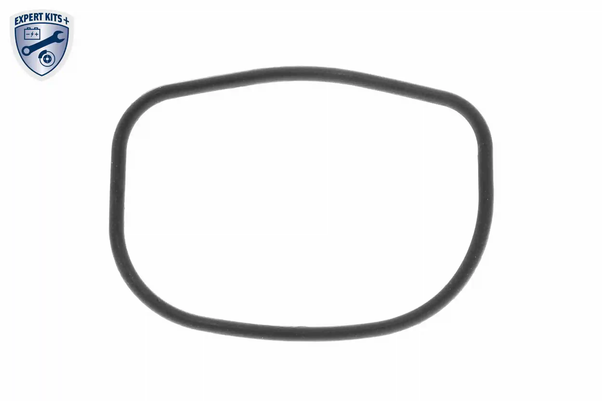 Termostato Fiat 500 312