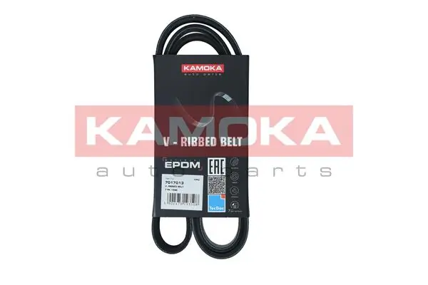 Ремень генератора 117207775R Renault (RVI)