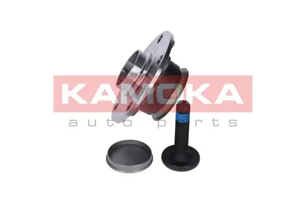 5500119 Kamoka Ступица задняя