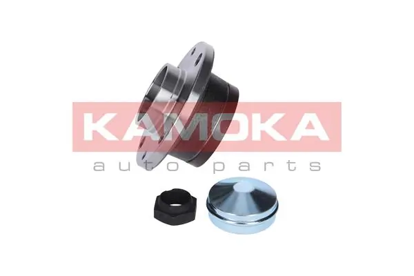 5500031 Kamoka Ступица задняя