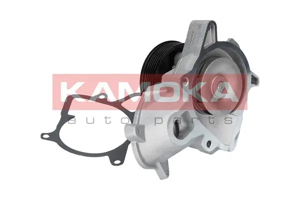 T0052 Kamoka Насос водяной