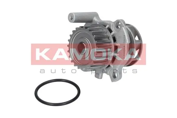 T0033 Kamoka Насос водяной
