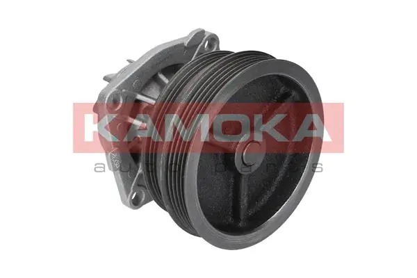 Купить T0112 Kamoka Насос охлаждения
