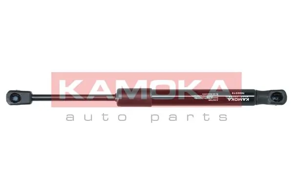PGS017120 Patron Амортизатор крышки багажника