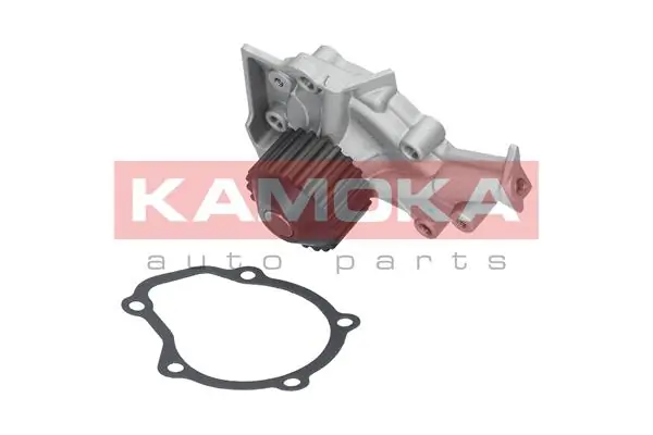 T0065 Kamoka Насос водяной