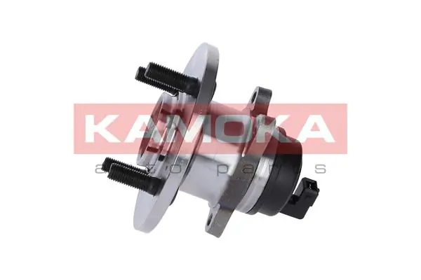 5500125 Kamoka Ступица задняя