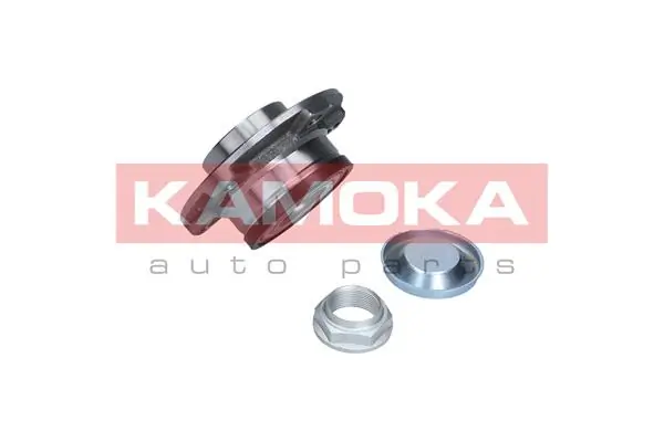 5500145 Kamoka Подшипник ступицы задней