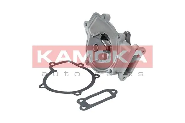 T0210 Kamoka Насос водяной