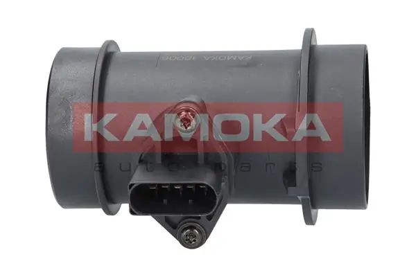 18006 Kamoka