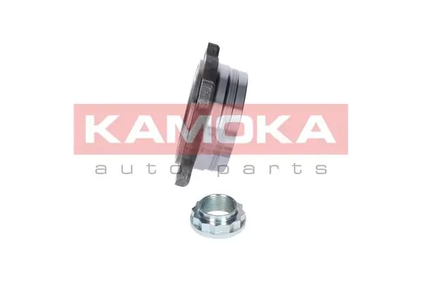 5500052 Kamoka Подшипник ступицы задней