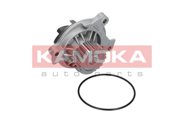 Купить T0042 Kamoka Насос охлаждения