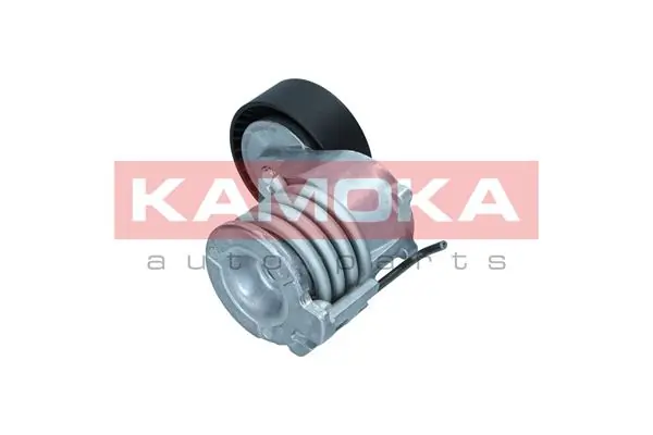 Купить R0579 Kamoka 
