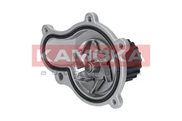 T0076 Kamoka Насос водяной