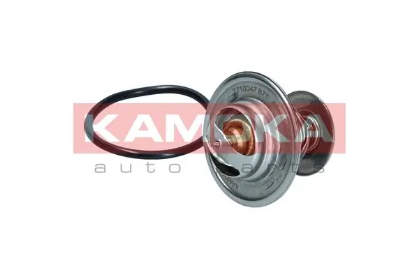 Termostato Audi A6 4A5
