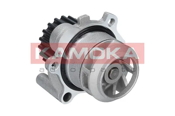 T0025 Kamoka Насос водяной