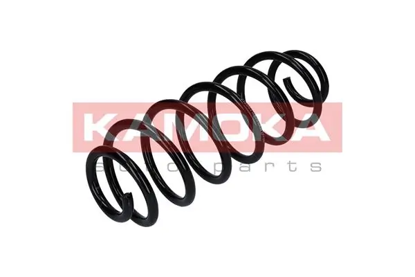 Mola traseira Ford Fiesta CB1