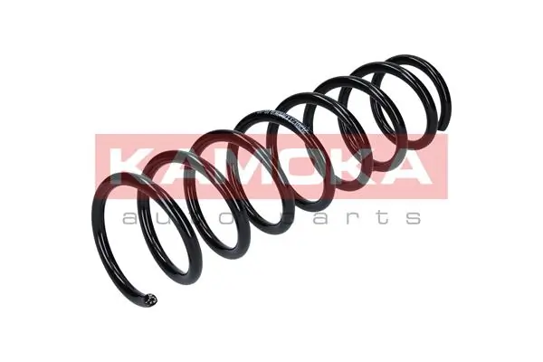 Mola traseira BMW 5  E60