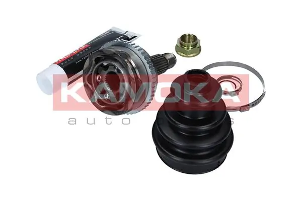 6098 Kamoka