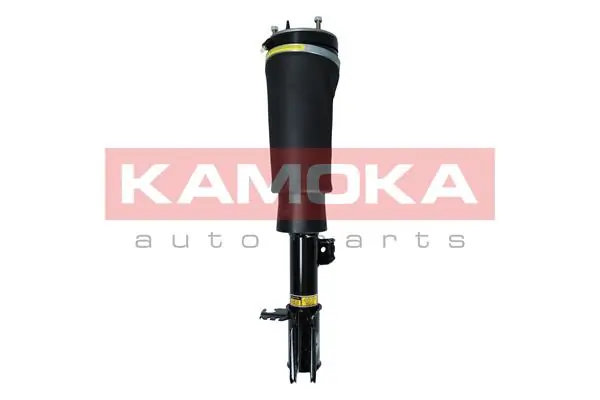 LR032560 Hotbray Амортизатор передней подвески правый