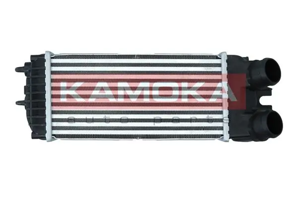 Radiador de intercooler Peugeot Partner 1 5F